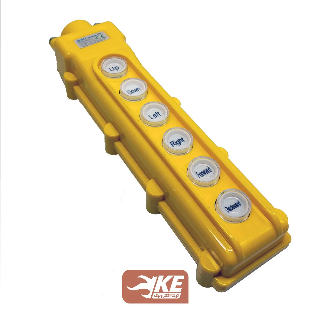 شستی جرثقیل شش فرمان چینت مدل NP3-3